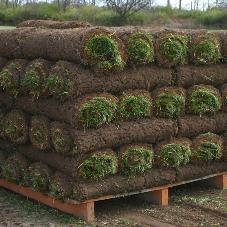 Sod-Rolls